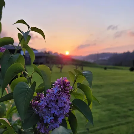Rurales Casa Rosi * Ranon