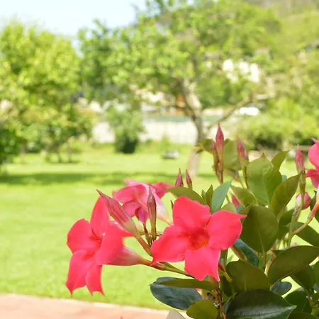 Διαμέρισμα Rurales Casa Rosi