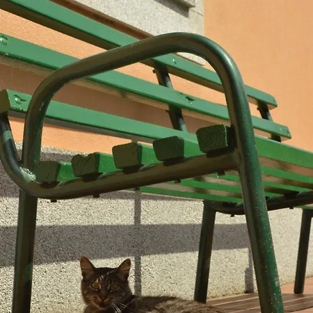 Apartment Rurales Casa Rosi *