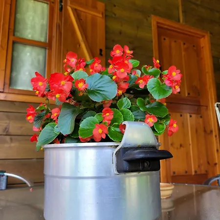 Rurales Casa Rosi Ranon